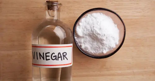 Vinegar