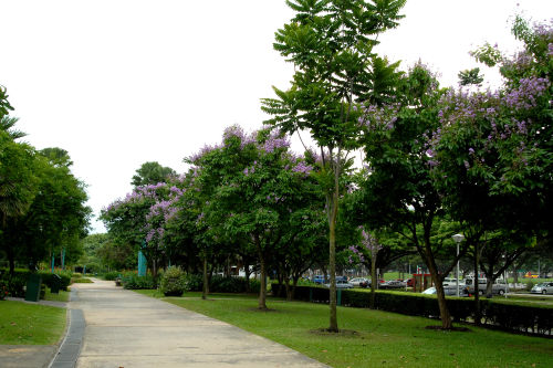 West Coast Park - Picnic Singapore