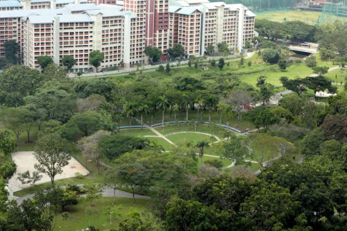 Bishan-Ang Mo Kio Park - Picnic Singapore