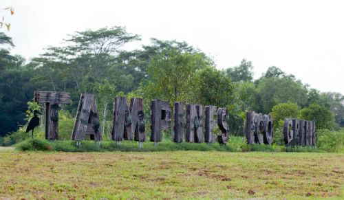 Tampines Green Forest Park - Best Outdoor Playground Singapore