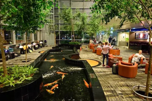 Singapore Changi Airport - Places To Study In Singapore (Credit: Frost Fairs)