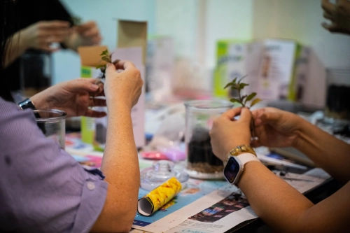 Terrarium Singapore - Team Building Singapore