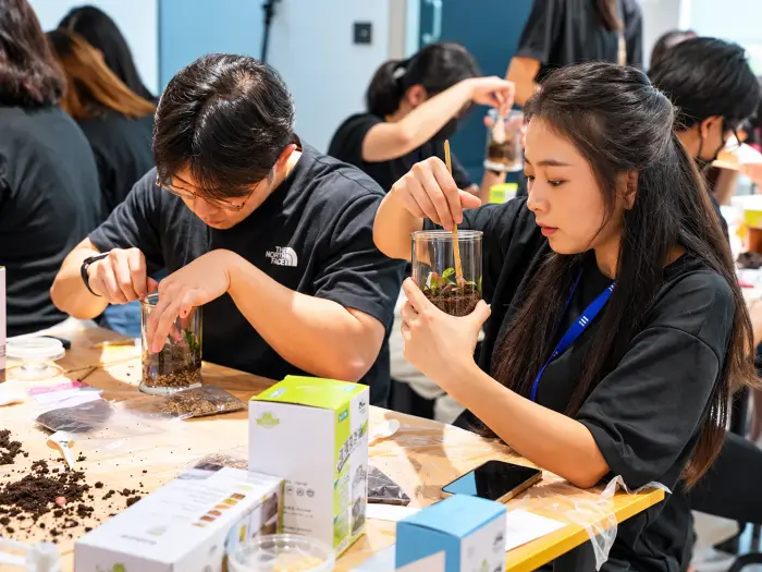 Colleagues build their terrariums at a corporate workshop