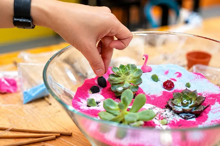 A hand places a pebble beside the succulents in a terrarium bowl of pink and blue sand