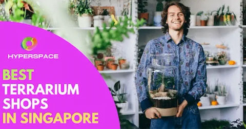 Best Terrarium Shop Singapore