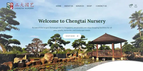 Chengtai Nursery - Plant Nursery Singapore (Credit: Plant Nursery Singapore)