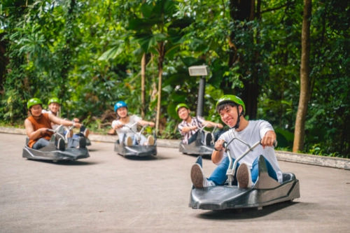 Skyline Luge Sentosa -Things to do in Singapore