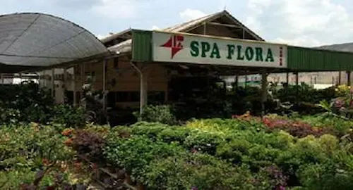 Spa Flora Pte Ltd - Plant Nursery Singapore (Credit: Spa Flora Pte Ltd)