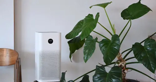 Best Air Purifier Singapore