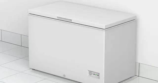 Best Chest Freezer Singapore