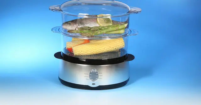 Best Food Steamer Singapore