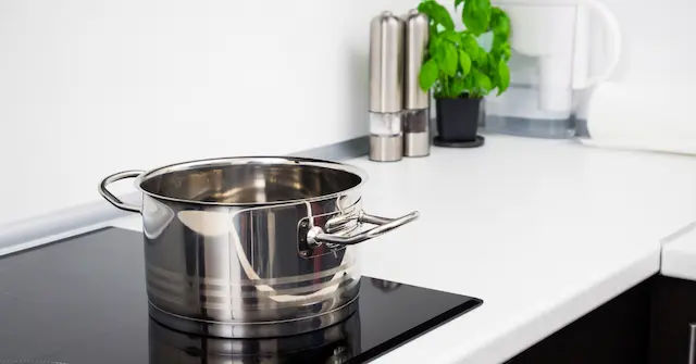 Best Induction Cooker Singapore