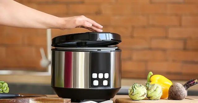 Best Multi Cooker Singapore