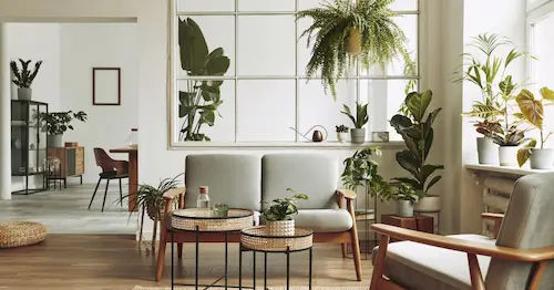 Add Lots and Lots of Indoor Plants - Modern Colonial Interior Design Singapore