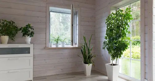 Biophilic Design - Renovation Ideas Singapore 