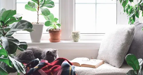 Cozy Reading Nook - Bay Window Singapore