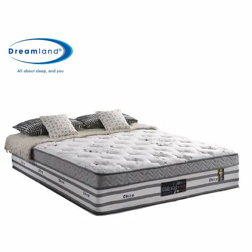 Dreamland Chiro Memory Foam Mattress - Memory Foam Mattress Singapore (Credit: Shopee)