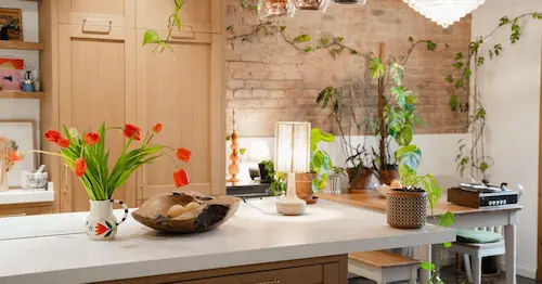 Plants for a Soft Touch - Eclectic Interior Design Singapore