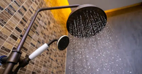 Rain Shower - Bathroom Design Singapore