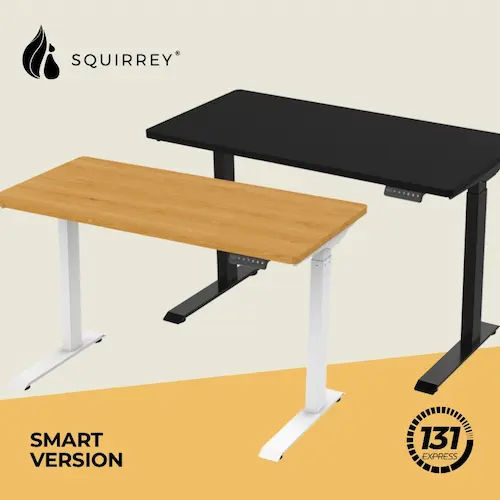 Squirrey Electric Height Adjustable Office Desk - Office Table Singapore (Credit: Shopee)