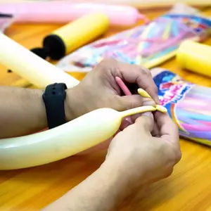 Balloon Sculpting