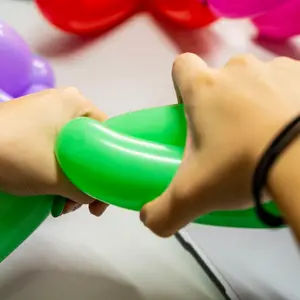 Balloon Sculpting
