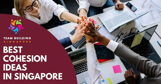Best Cohesion Ideas Singapore