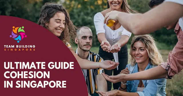 Best Cohesion Singapore