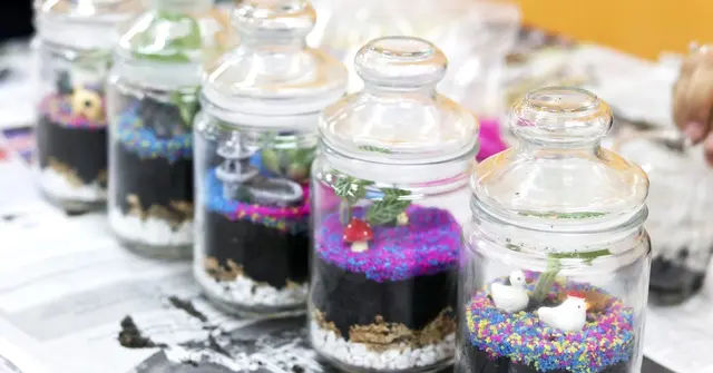 Terrarium Gifts