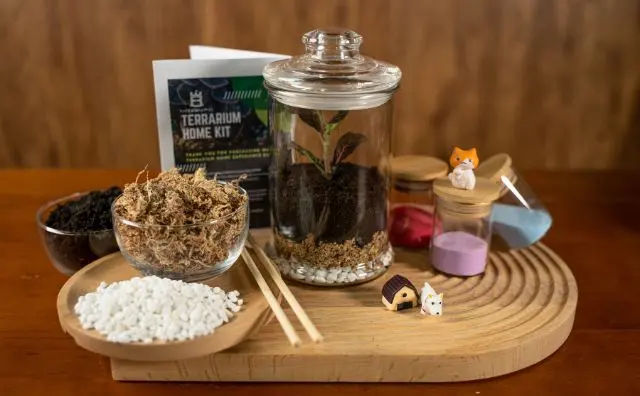 materials for terrarium making in a diy kit