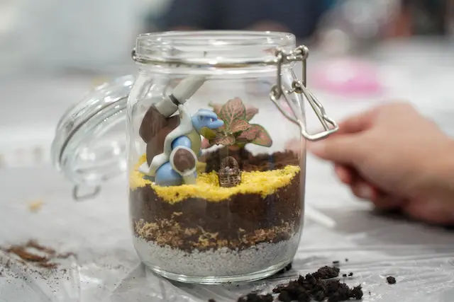 client's terrarium in singapore