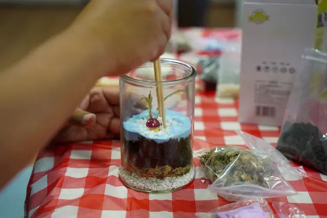 a client making a terrarium in singapore