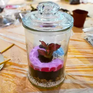 Terrarium Workshop Singapore