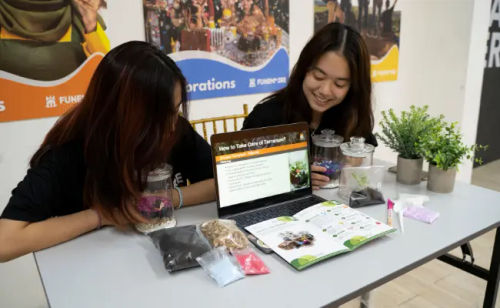 Terrarium Workshop - Team Building Workshops Singapore  (Credit: FunEmpire)