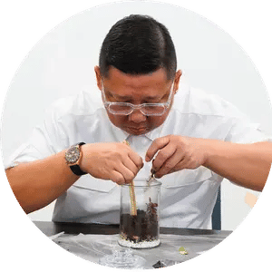 Terrarium Workshop Singapore