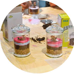 Terrarium Workshop Singapore