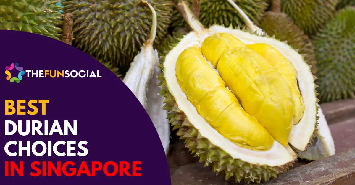 Best Durian Singapore