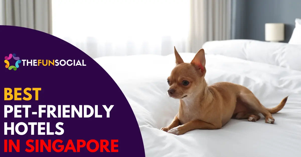 Best Pet Friendly Hotel Singapore