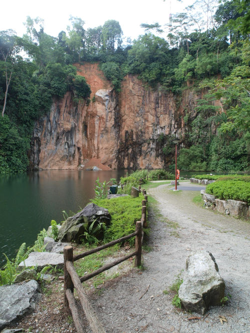  Bukit Batok Nature Park - Best Hiking Singapore