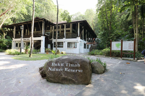 Bukit Timah Nature Reserve - Best Hiking Singapore