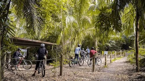 Chestnut Nature Park - Best Cycling Route Singapore