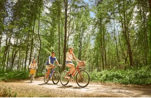 Coney Island Park - Cycling Route Singapore