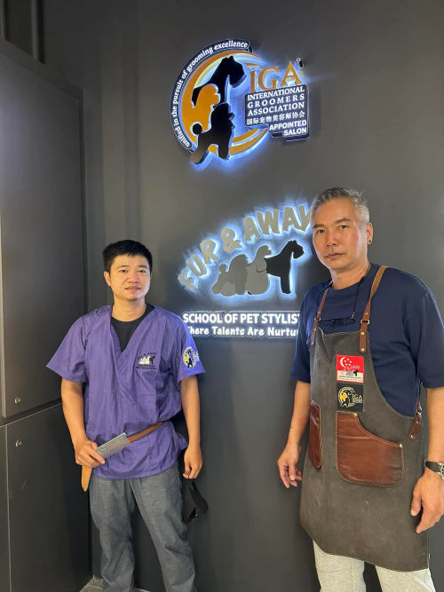 Fur & Away - Best Cat Grooming Singapore