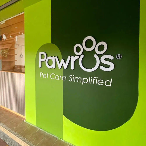  Pawrus - Best Cat Grooming Singapore