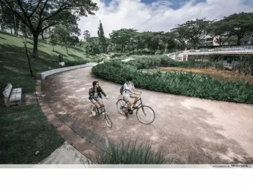 Southern Ridges - Best Cycling Route Singapore