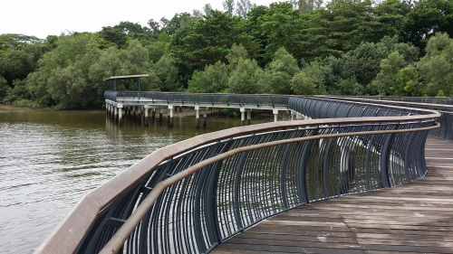 Sungei Buloh Wetland Reserve - Best Hiking Singapore