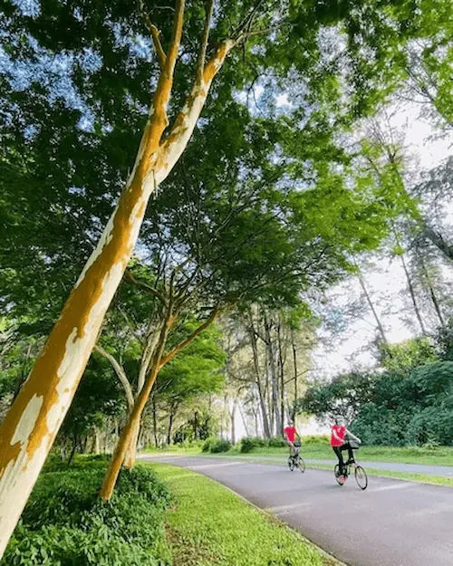 The Eastern Coastal Loop - Best Cycling Route Singapore