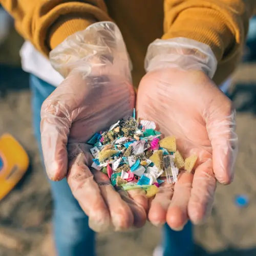 Beach Cleanup Singapore