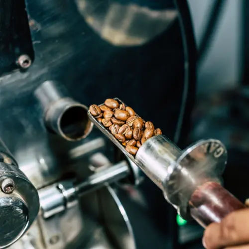 Coffee Roasting Workshop Singapore