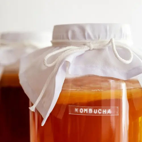 Kombucha Brewing Workshop Singapore